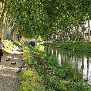 Bayard - Centre-ville - Gare - Confortable , Toulouse Francia